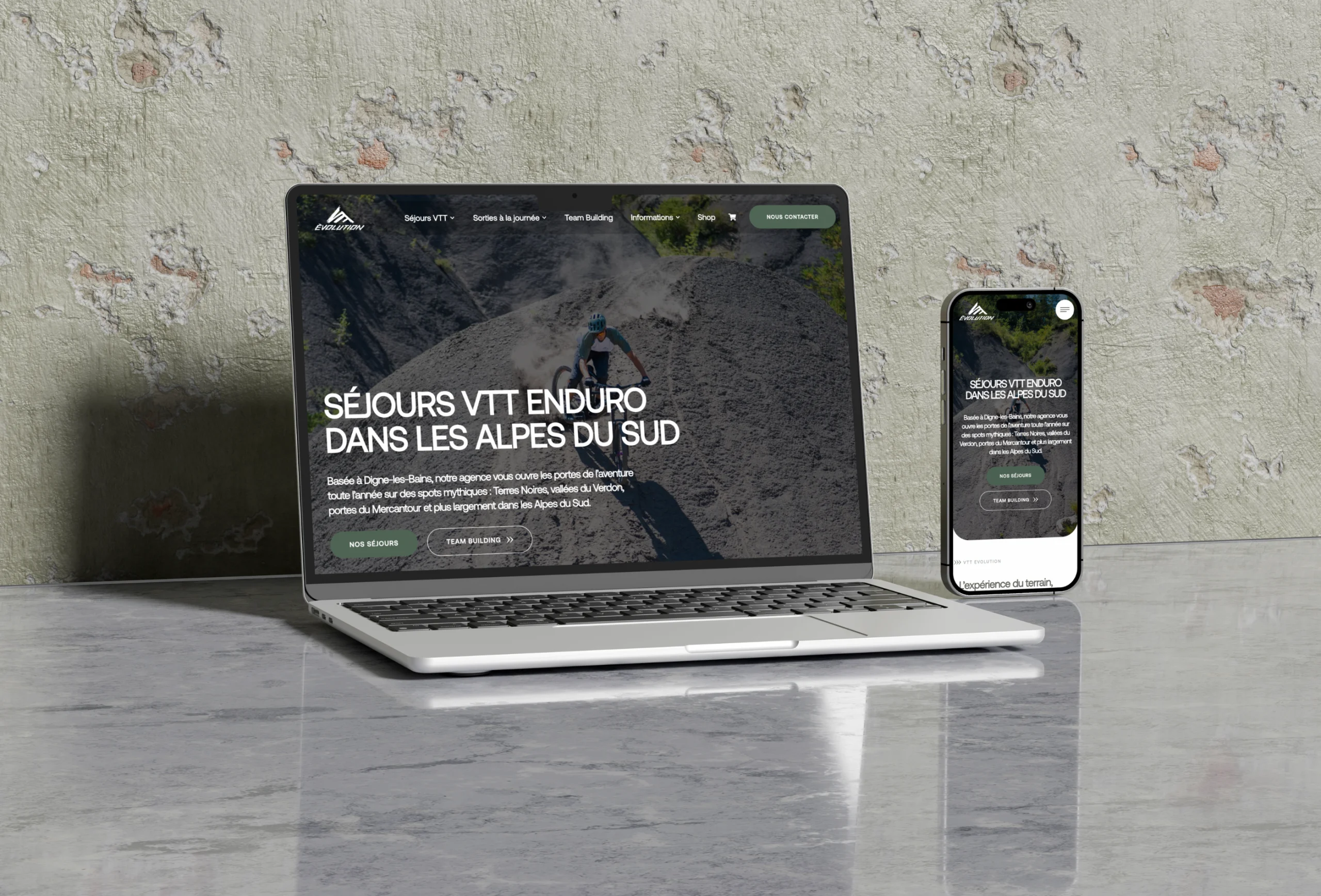 VTT EVOLUTION REFONTE SITE INTERNET MERAKI STUDIO