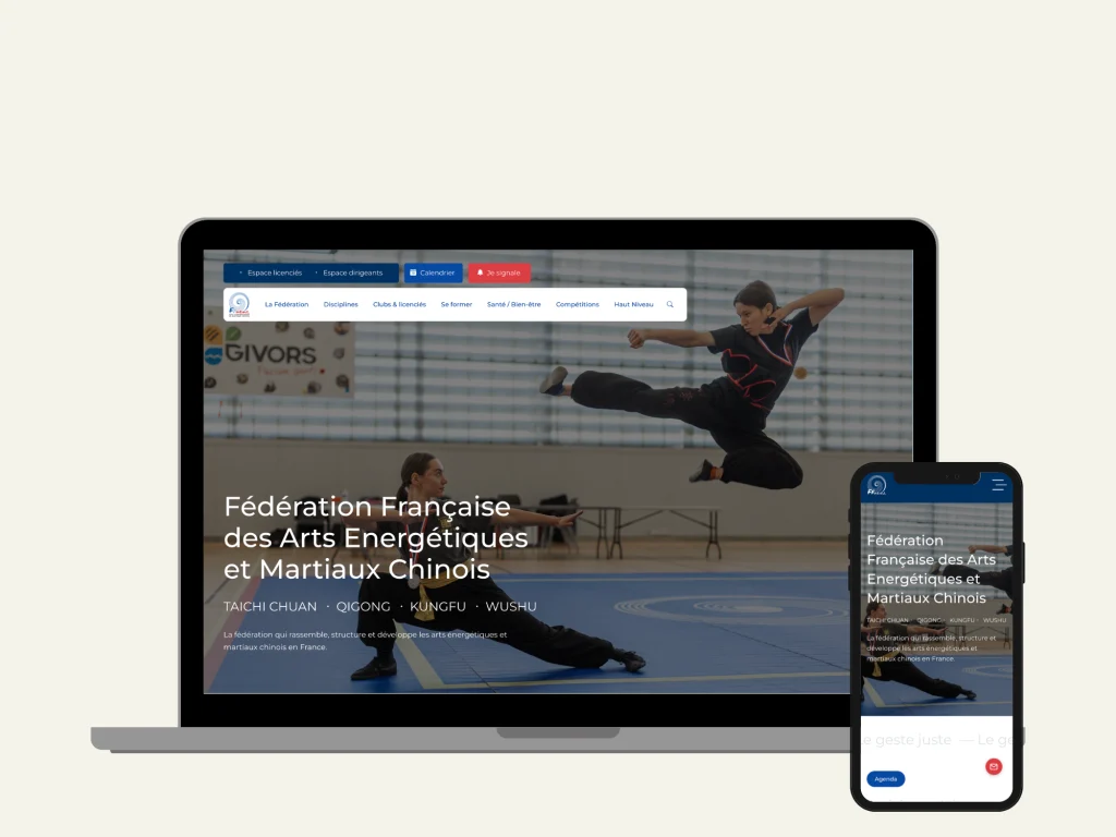 Meraki Studio, refonte site web FFAEMC